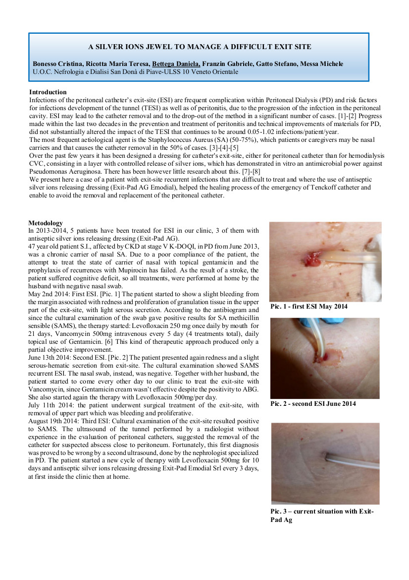 poster silver ions jewell 2015 p 1